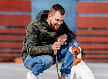 Modificacion de conducta canina Móstoles dvsdog