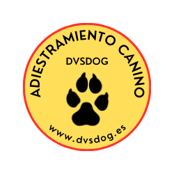 dvsDog logo dvsweb